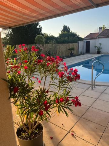 Bed and Breakfast Les Voyages De Louison Lavardac Exteriér fotografie
